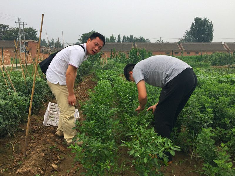 好利來郭總喊您來摘菜啦！綠色無公害，放心！