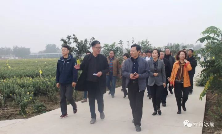 云臺冰菊基地發(fā)生了什么？一批批領(lǐng)導專家團隊前來！
